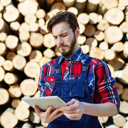 Дрова - купить в  «Центр дров» с бесплатной доставкой по Минску и всей области